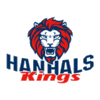 home team logo