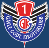 home team logo