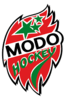 home team logo