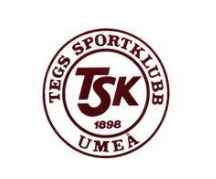 Club logotype