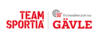 sponsor logotype